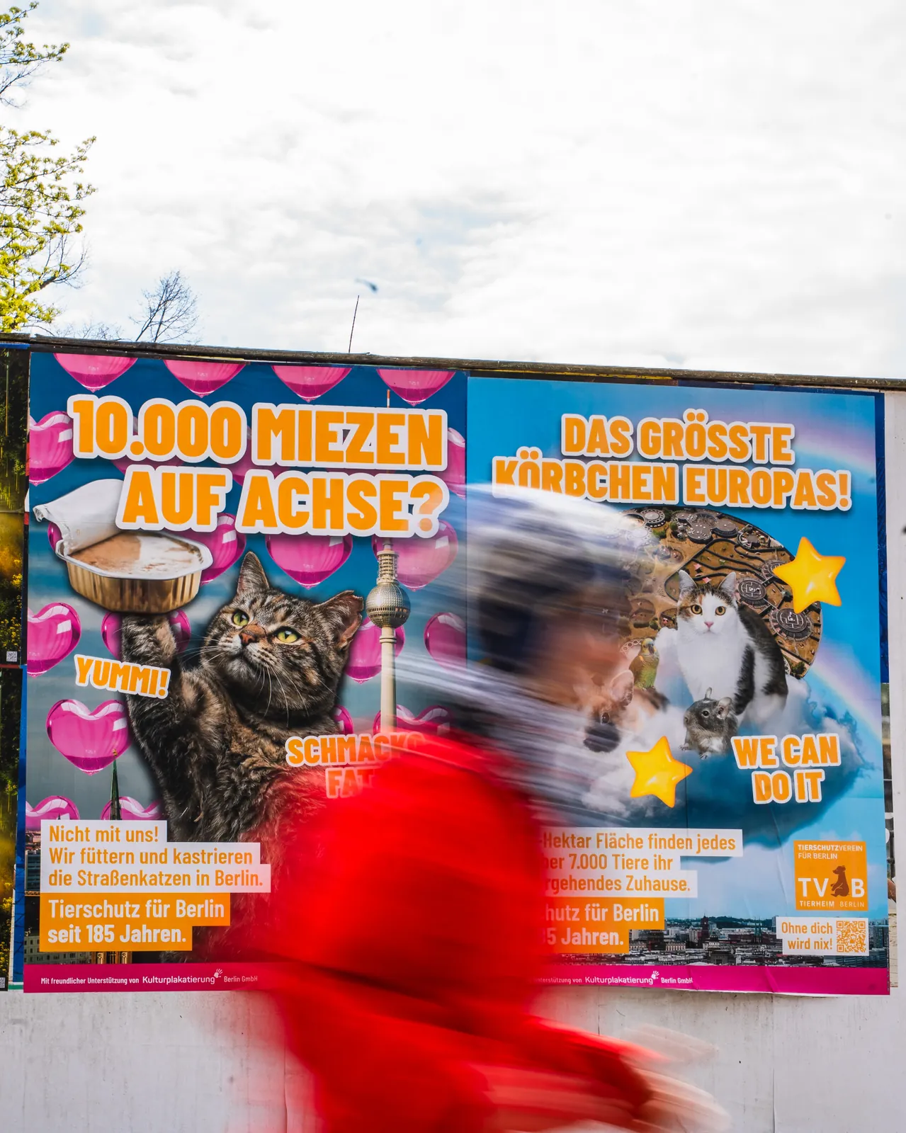 Großflächenplakat '10.000 Miezen auf Achse' im Berliner Stadtraum