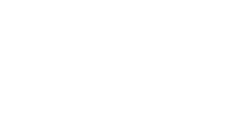 Dr. Markus Reichel MdB